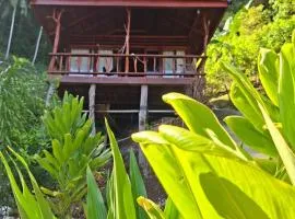 Banua Guesthouse