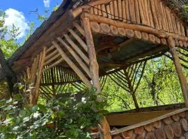Lucy Guest House