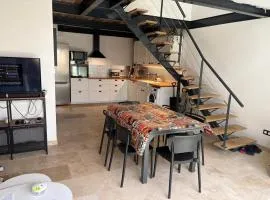MAISON VIGNERONNE 10 min des plages