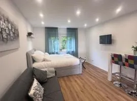 Modern studio apartment in Saarbrücken with kitchen and bathroom