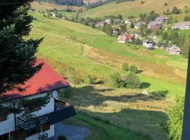 Ferienwohnung Black Forest Hideaway