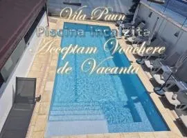 Vila Paun