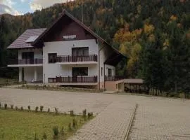 Pensiunea Agroturistica Pietroasa