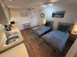 Comfortable Studio in Prime Flint Location