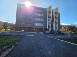 Wakero BSB Lux Appartment near city centre