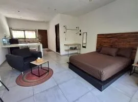 Casa Pavezin