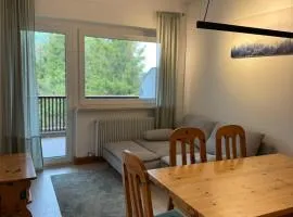Tra Neve e Lago Mountain Apartment