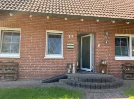 Dachsbau