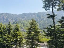Crest Manali River View