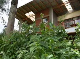 Camphor Mountain View