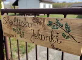 Siedlisko Jelonki
