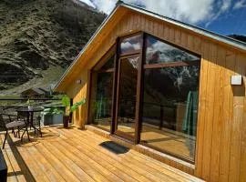Cabin AISI