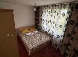Village stay