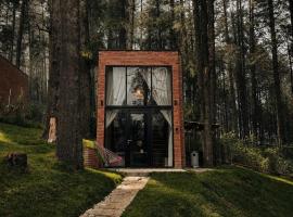 Cabañas Boutiques TinyChillHouse, hotel en Mineral del Chico