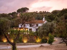 Finca Santa Teresa, Casa Grande