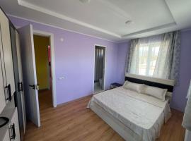 Paceri, Hotel in Tʼianetʼi