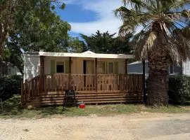 Mobilhome Novela port la nouvelle