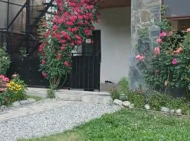 Guest House Nanu