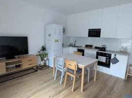 Apartament Banacha 10