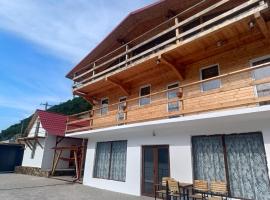 Casa de vacanță la Dunăre, hotel u gradu 'Sviniţa'