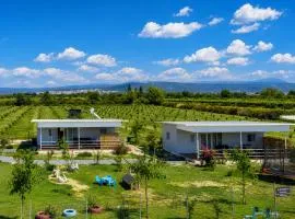 Agroktima Arta - Farm Stay