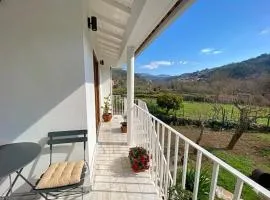 Country House on the Paiva River - Hostiva