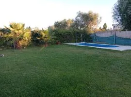 Palmeras
