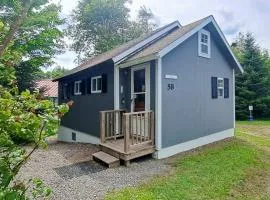 Lakefront cottage with full kitchen, firepit, gas grill, Wifi, a/c