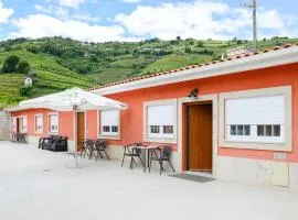 Oliveira Douro House