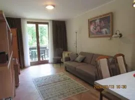 Apartment Beachfront in Csopak-Balaton 58006