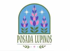 Viesnīca Posada Lupinos pilsētā Punta Arenasa