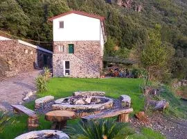Beautiful Apartment In Casarza Ligure