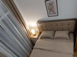 D&M Lux1