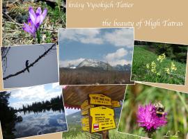 Apartmány Hágy L+L