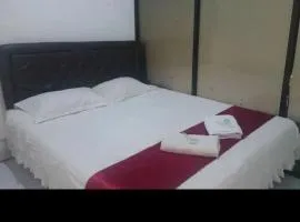 kiwi budget hotel