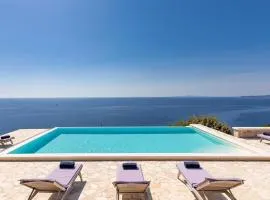 Luxurious Home In Potomje