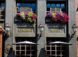 Axelhof Boutique Hotel, hotel in Dnipro