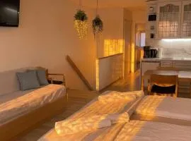 Ferienapartment TESLA im Wellnesshotel - Bayerischer Wald