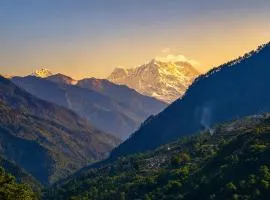 Hotel vidya om palace kedarnath
