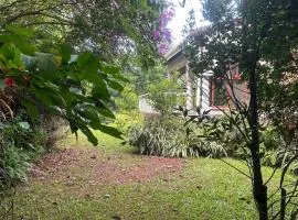 46 Minerva Avenue