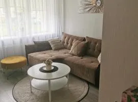 Buto nuoma Plungėje