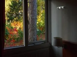forest villa, 6 minutes from the airport
