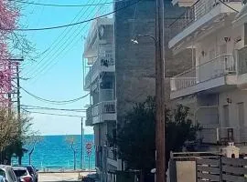 Andy's apartments
