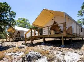 Large Pet Friendly Safari Tent, Perfect for Glamping in Texas