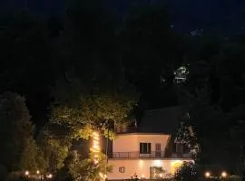 Countryside forest village