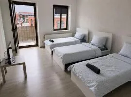 Modern 3BR Apartment in Central Chemnitz for 10 Guests