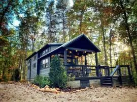 Incredible Secluded Cabin wit Barbecue and Privileged Sights in Tracy City, Tennessee