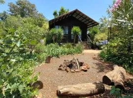 Woodland Gardens Self catering Pet Friendly Lodge