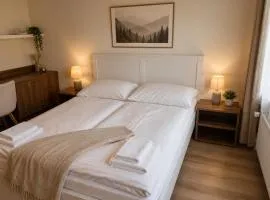 Alpine Studio near Bad Ischl#2