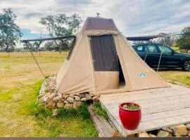 Pitched at Liberty'